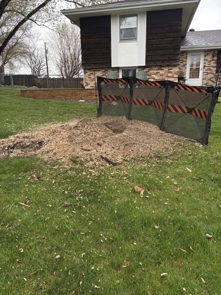 new brighton stump grinding 3