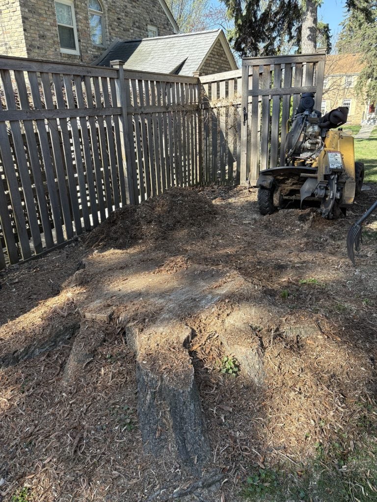 stump grinding before south minneapolis