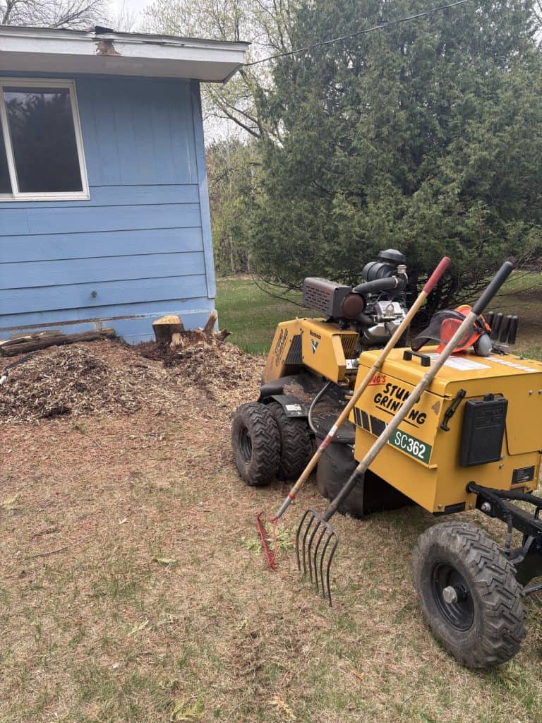 stump grinding oak grove mn 2