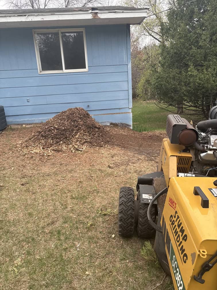 stump grinding oak grove mn 3