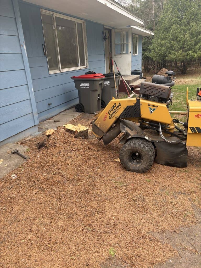 stump grinding oak grove mn 4