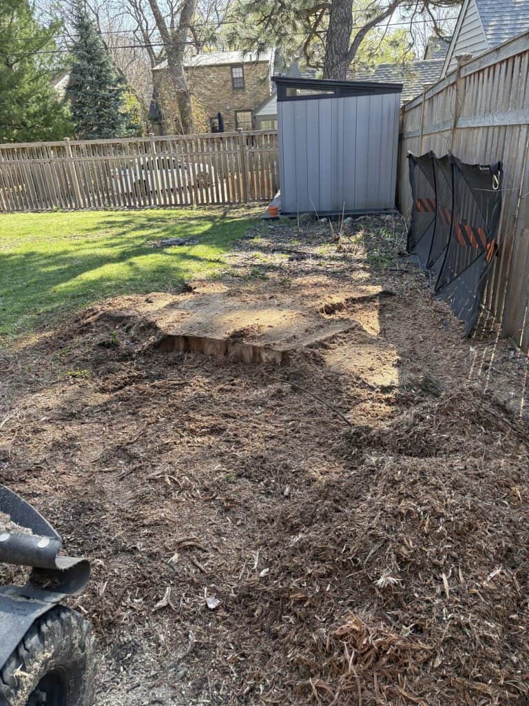 stump grinding south minneapolis 1