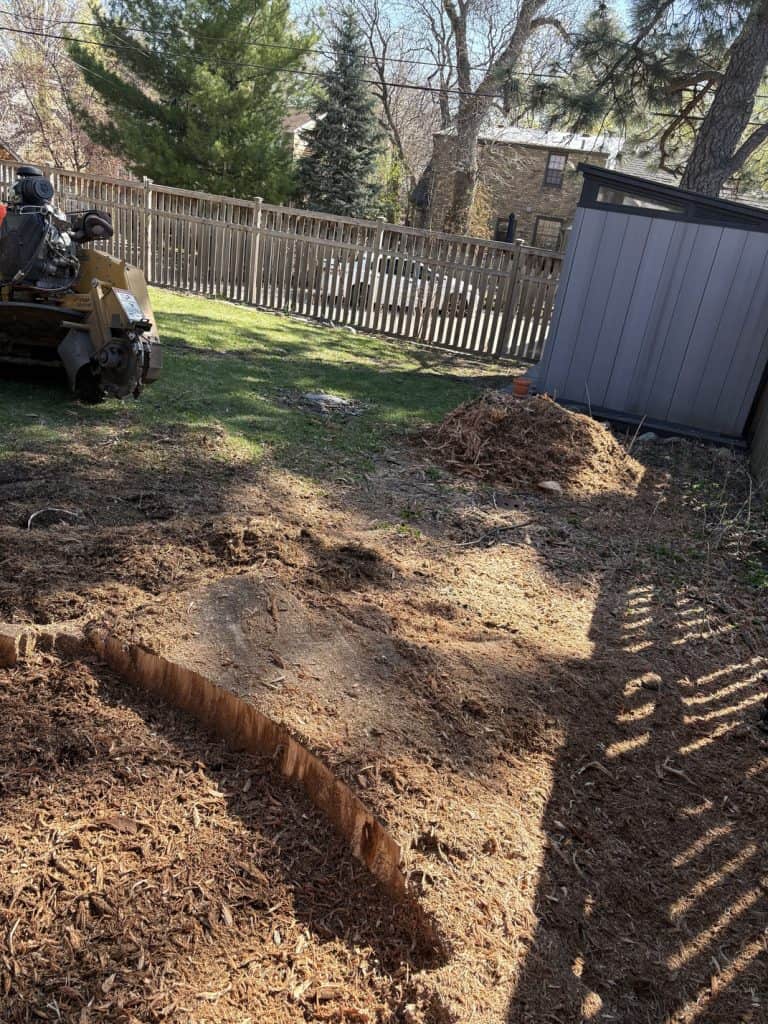 stump grinding south minneapolis 2