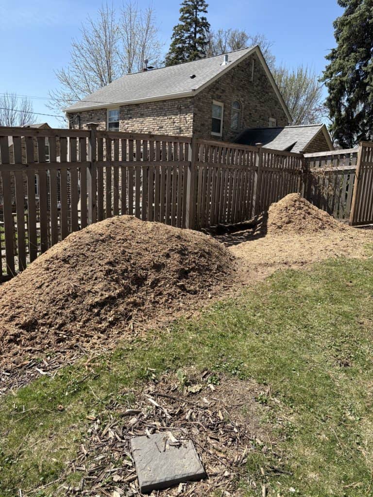 stump grinding south minneapolis after